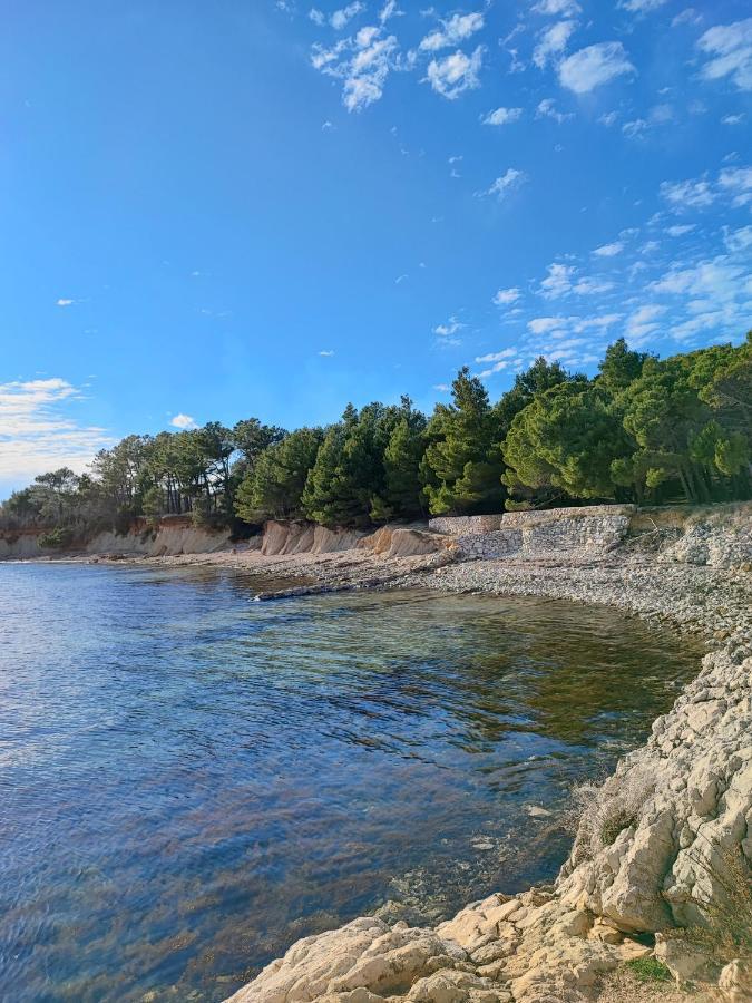 Apartmani Novak - Vir Kültér fotó
