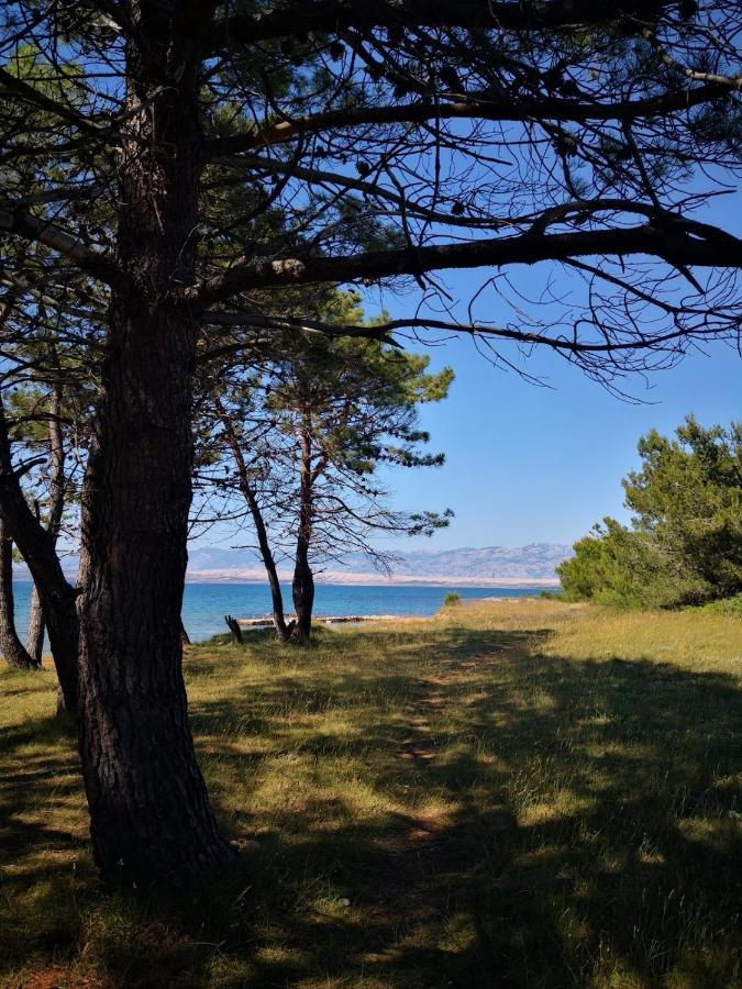 Apartmani Novak - Vir Kültér fotó